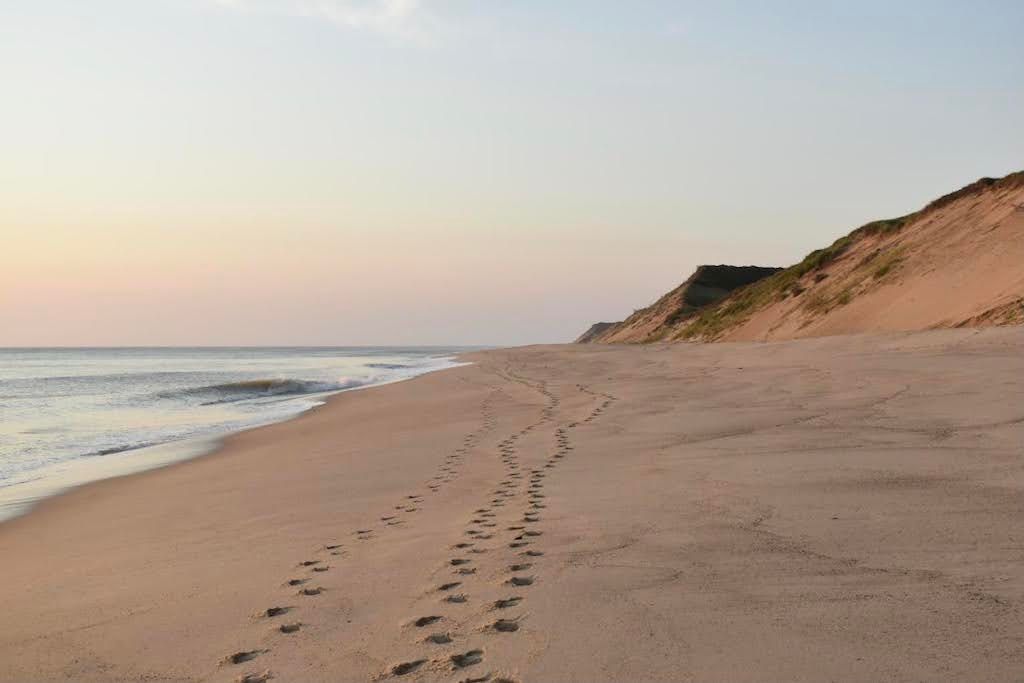 43 Things To Do This Summer In and Around Orleans (Cape Cod)