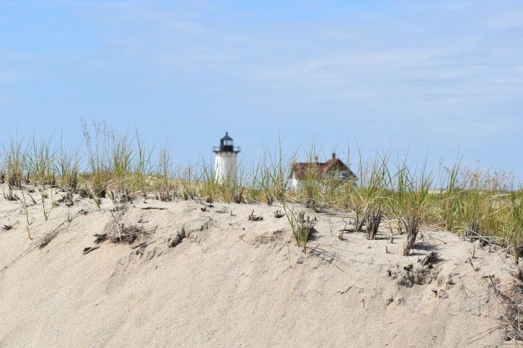 43 Things To Do This Summer In and Around Orleans (Cape Cod)
